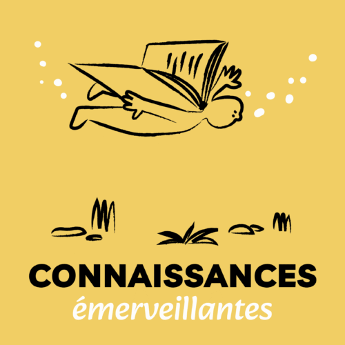 Énigme étonnante #1