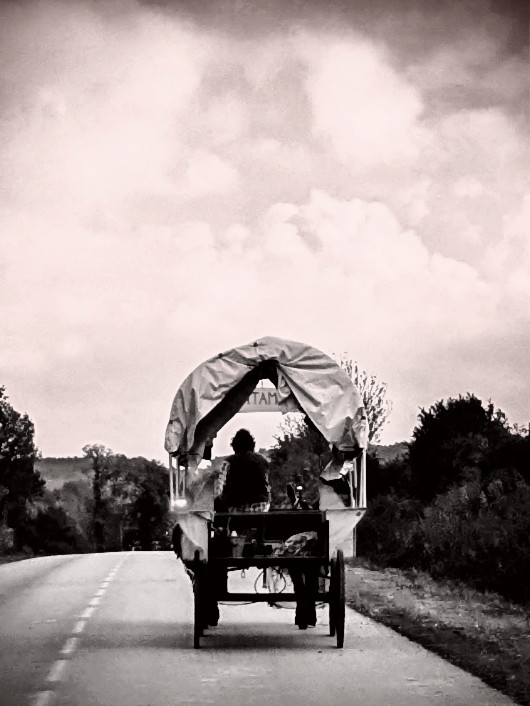 You are currently viewing Regarder par dessus ses lunettes…