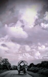 Lire la suite à propos de l’article Tremblements