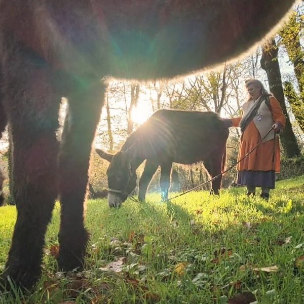 urgence-ralentir_vivants_non_humain_repas